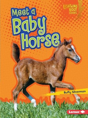 cover image of Meet a Baby Horse